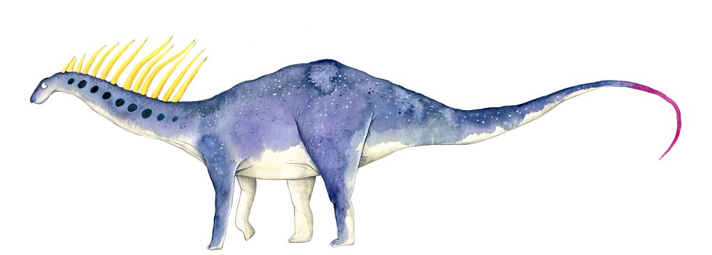 Amargasaurus 
