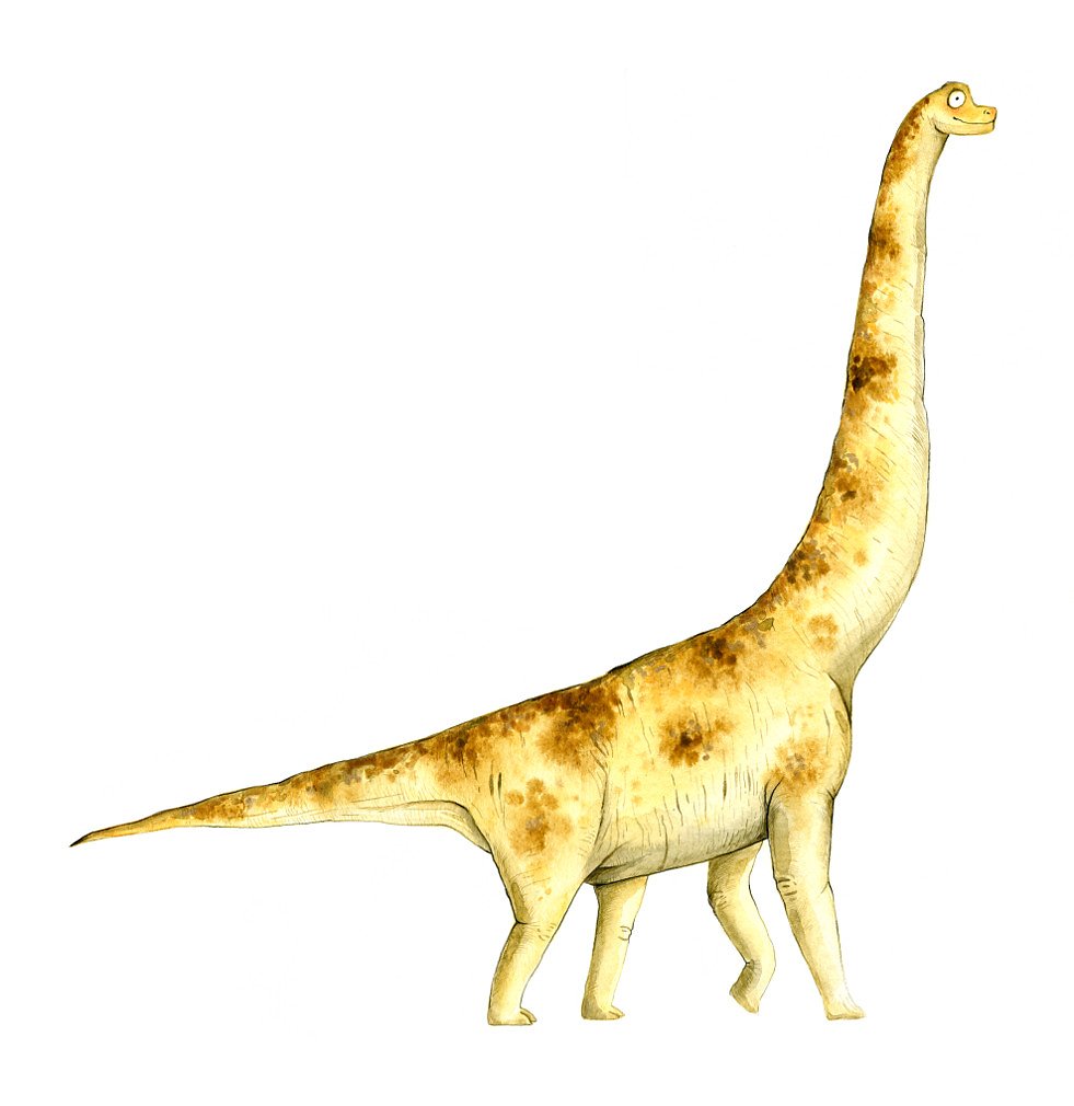 Giraffatitan