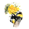  Garden Bumblebee (Bombus Hortorum)